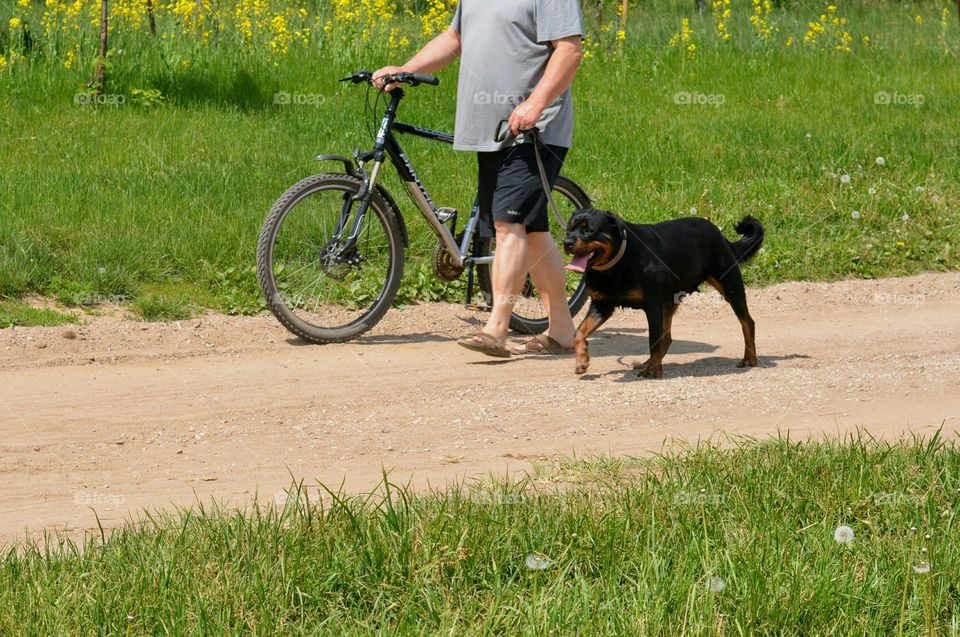 men with bike and dog pet walking summer time