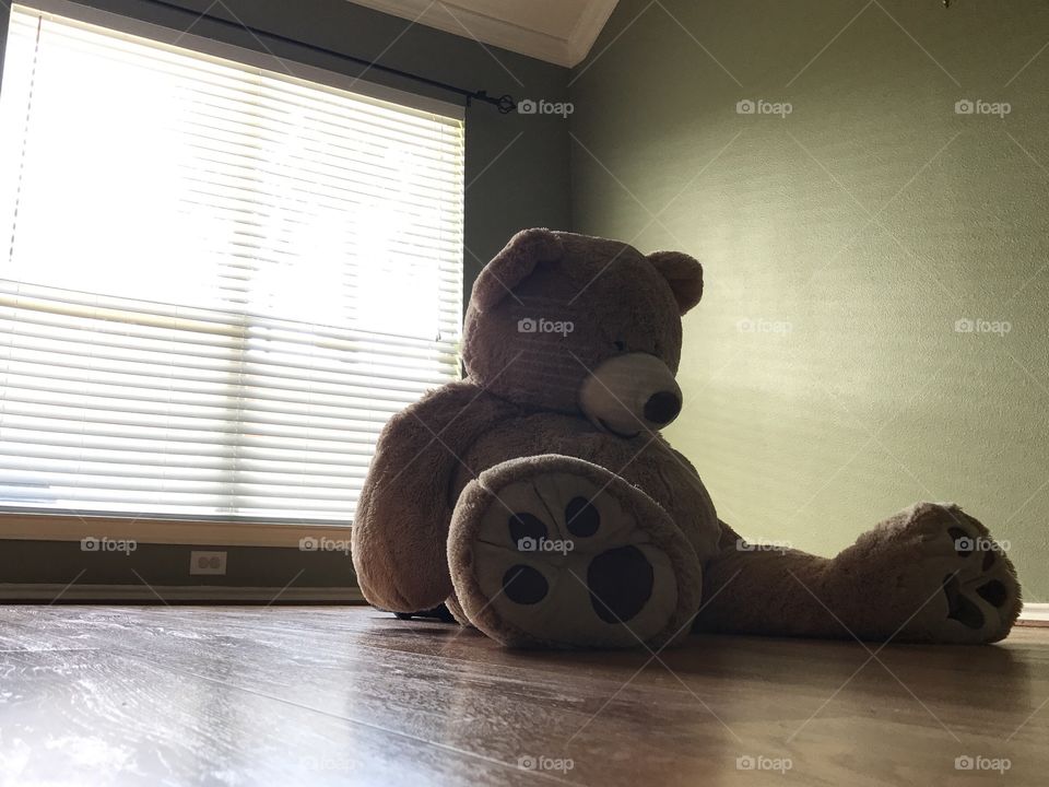 Will someone play with me?