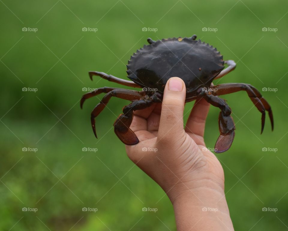 lokk at those eyes...