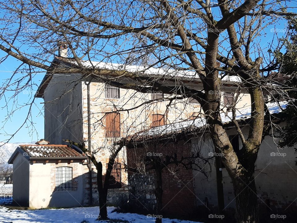an old house and a big tree in the snow