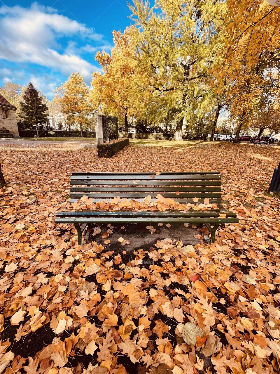 Autumn season, fall season, fallen leaves on city park bench 