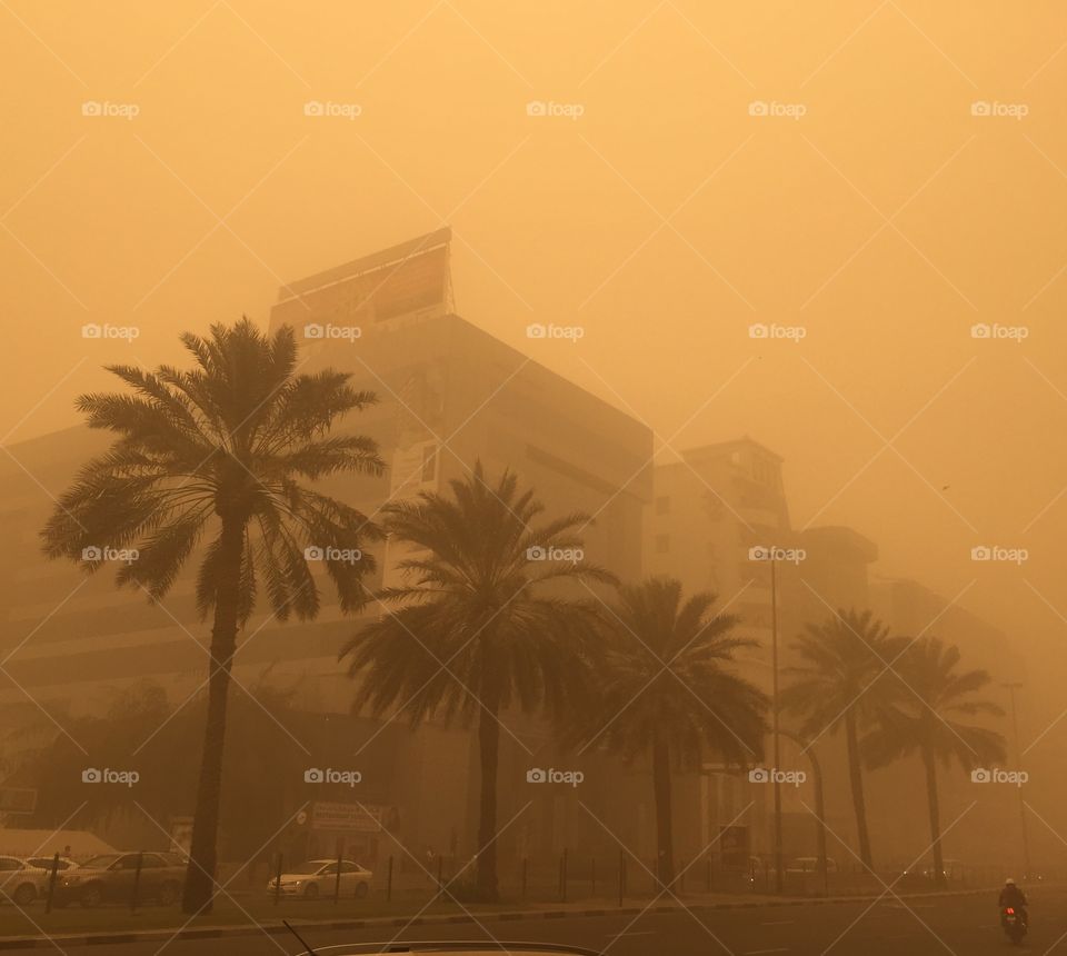 Sandstorm 