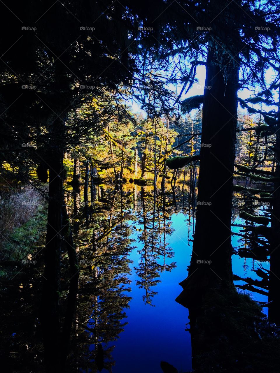 Fall Reflections . Kodiak Alaska, October 2015