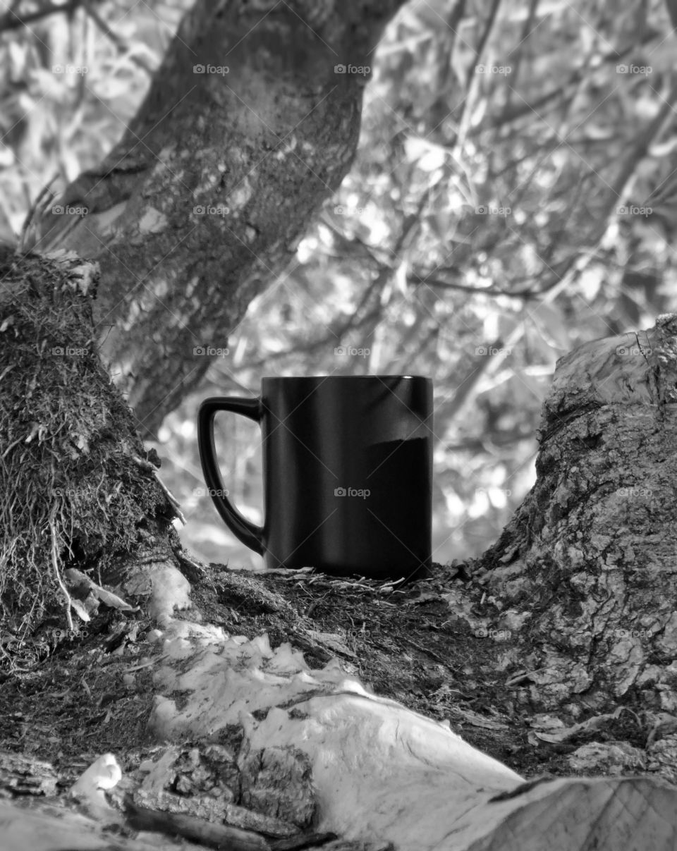 Autumn coffee time in the nature