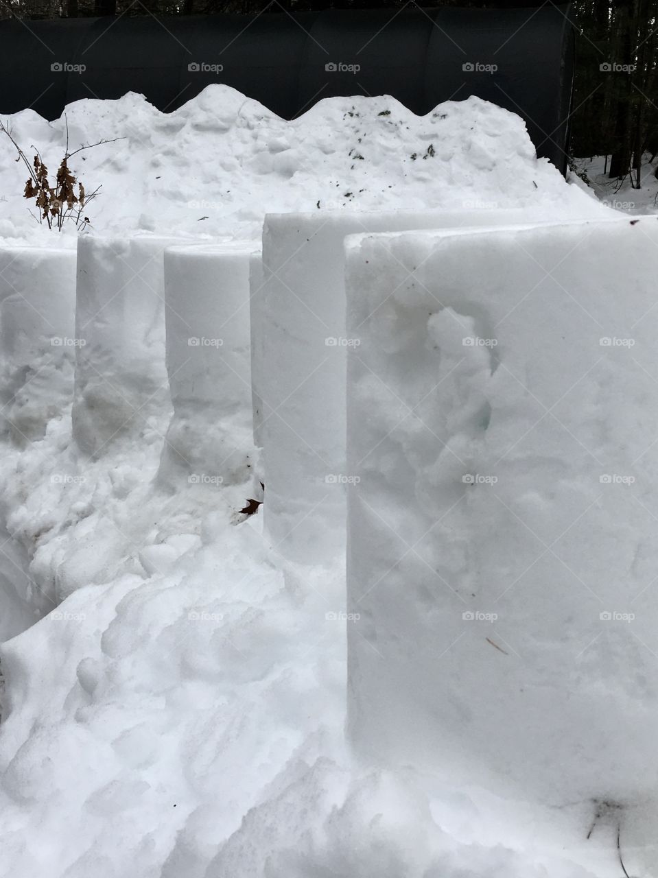 Fun playing in the snow in Maine 