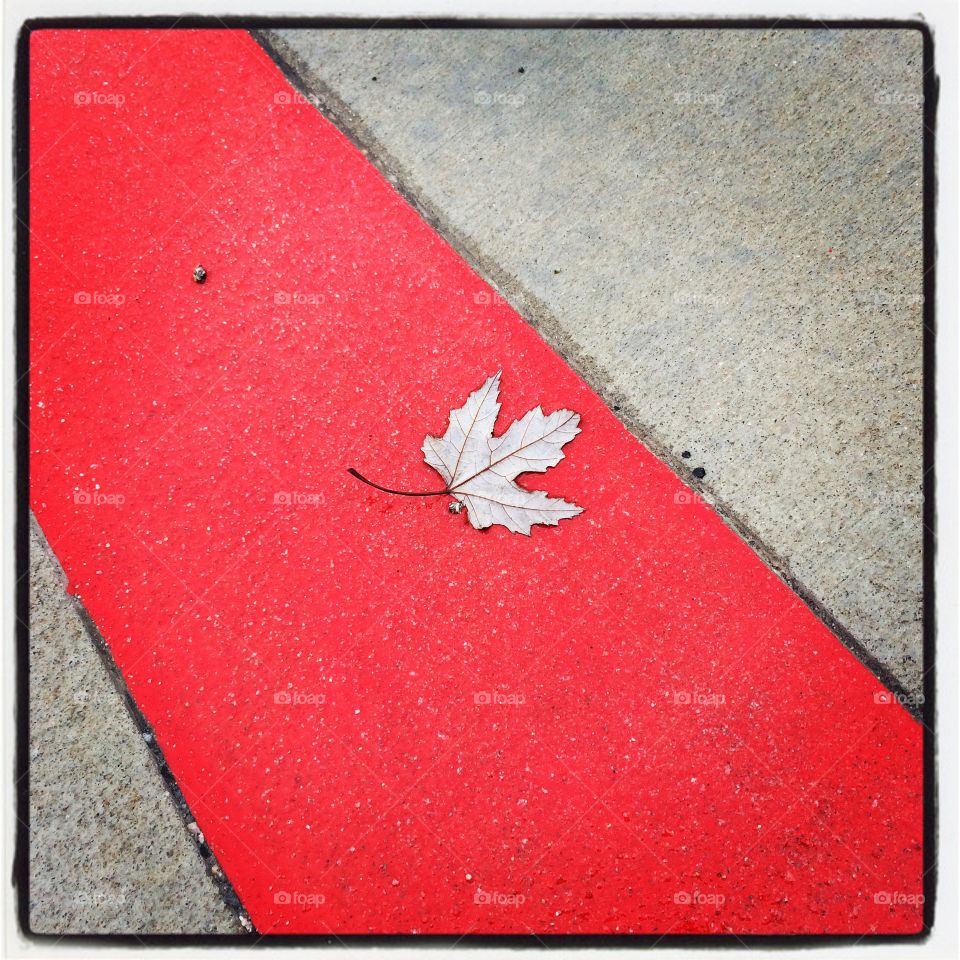Urban leaf