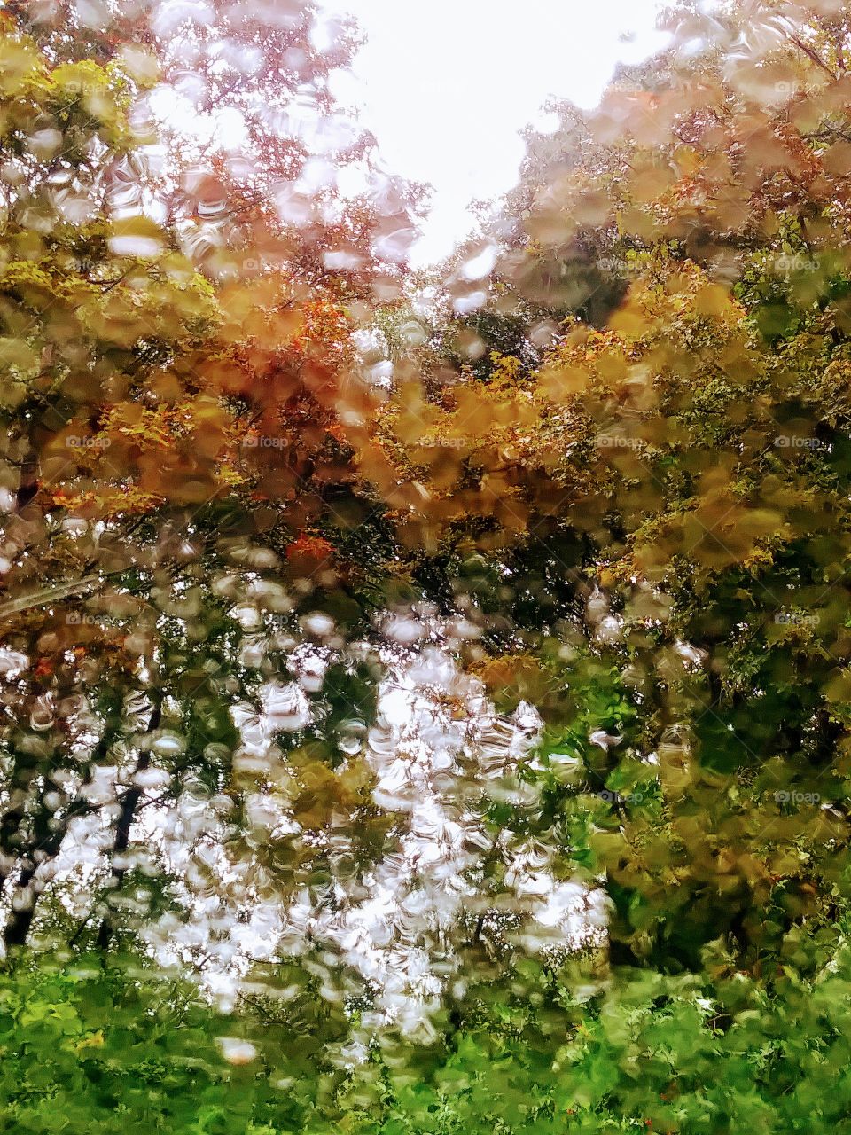 Autumn Rain Reflections