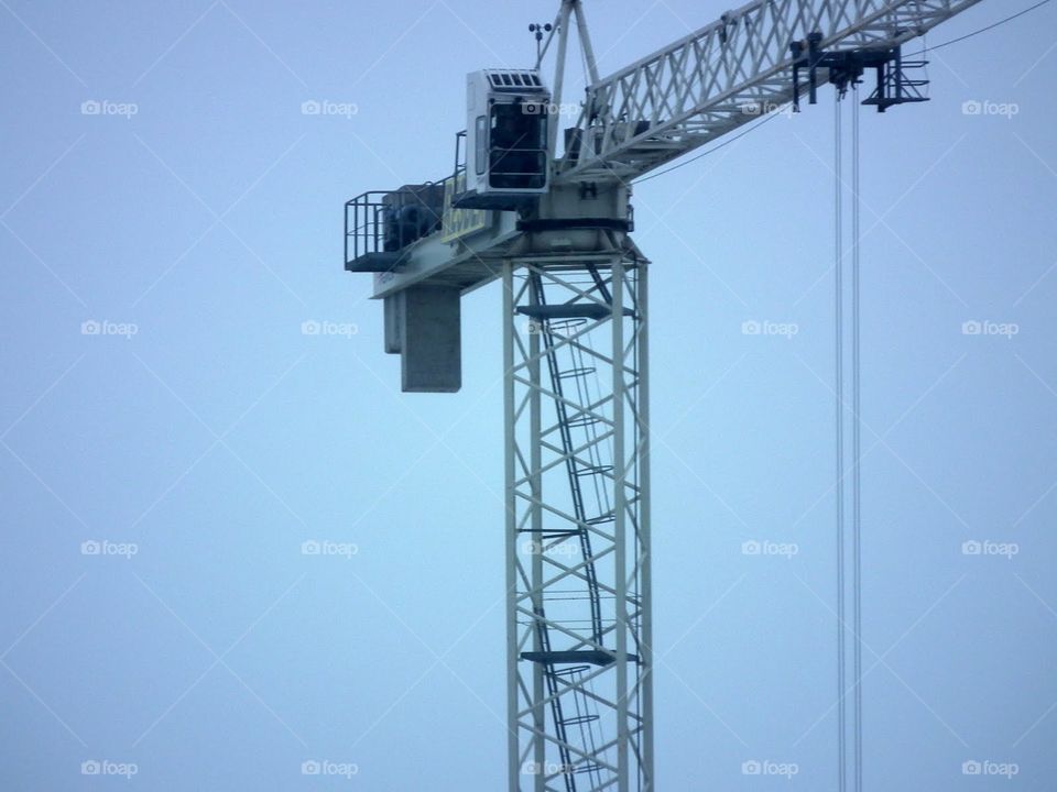 crane