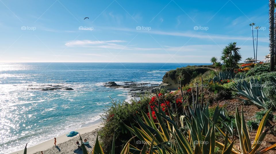 Ocean view in California 