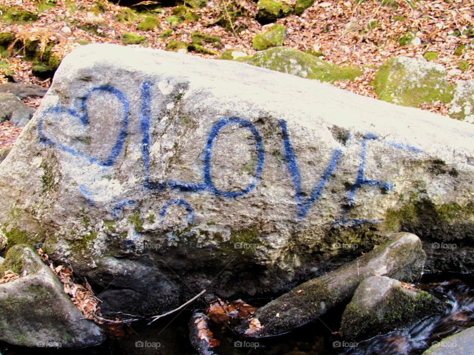 Rocky Love our earth message 