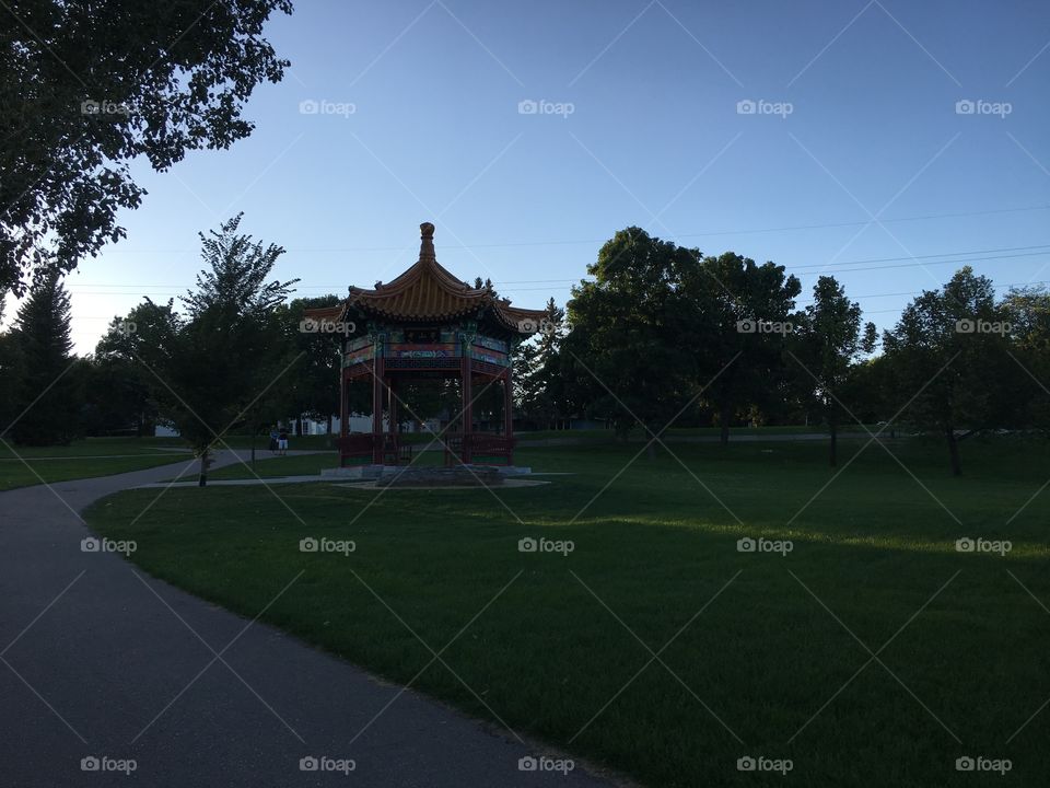 Golf, No Person, Home, Tree, Grass