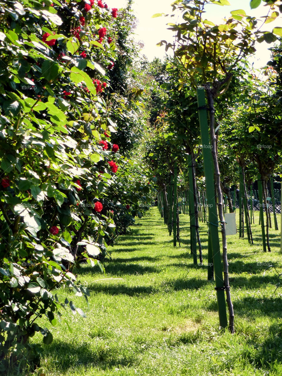 PARK IN WIEN