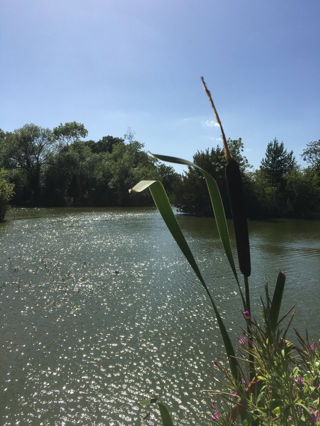 Lakes