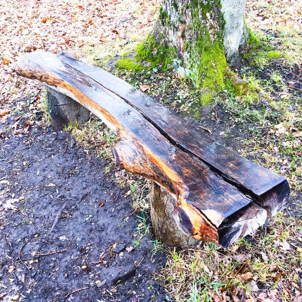 Tree Bench 