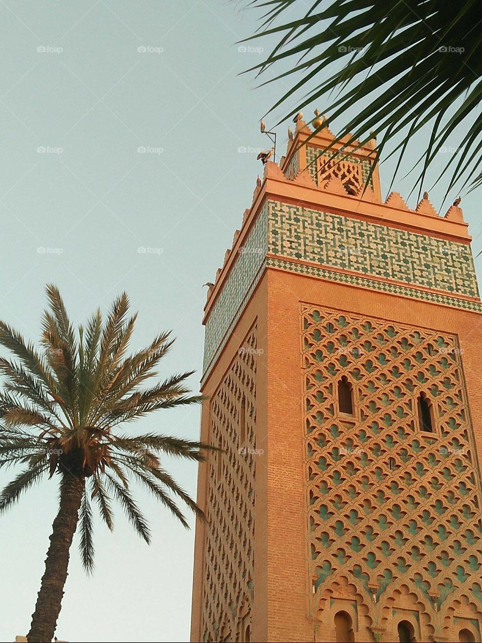 beautiful tower mosque and palm tree embracing high sky.