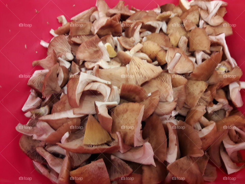 cutted mushrooms