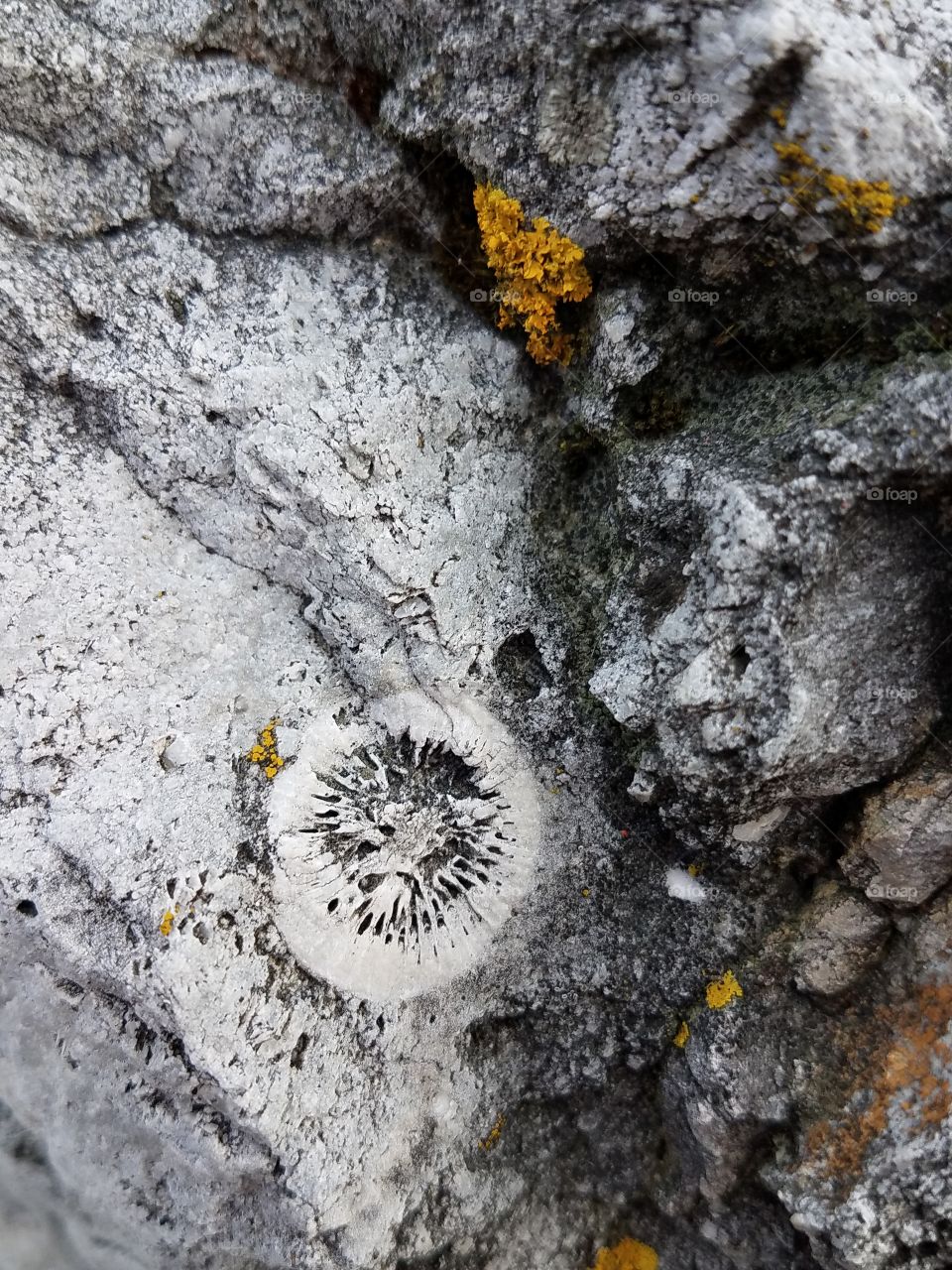 Nature, No Person, Desktop, Texture, Abstract