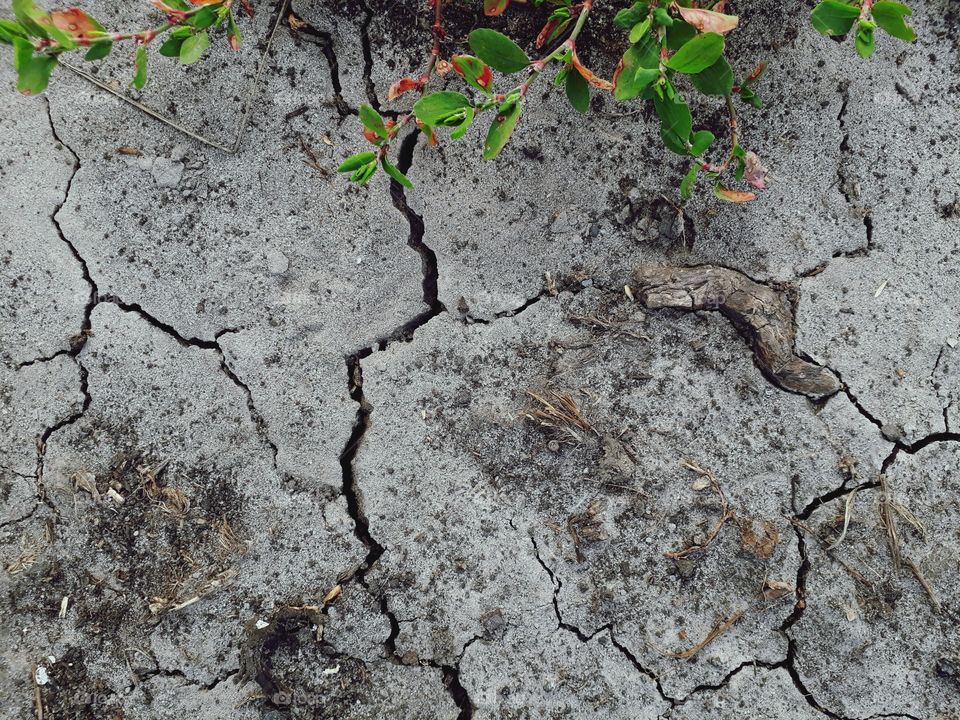 cracks in the ground