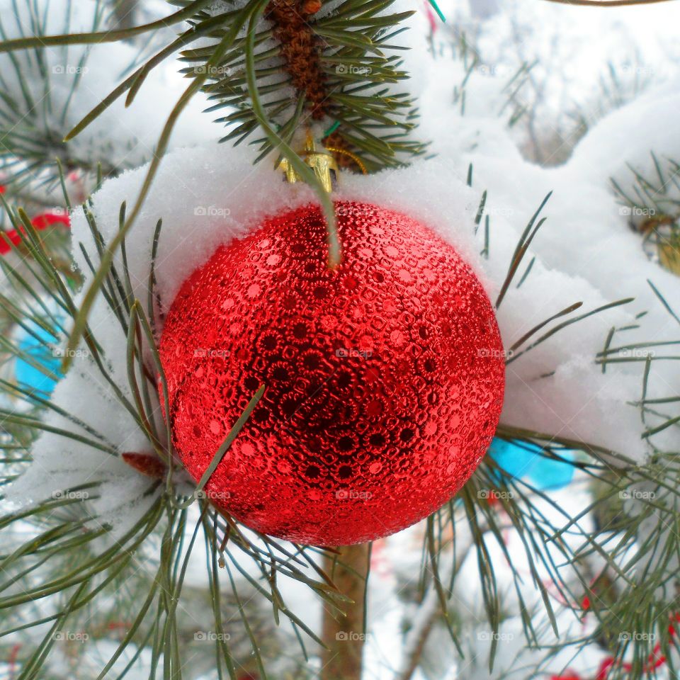 red ball on the snow-covered Christmas tree