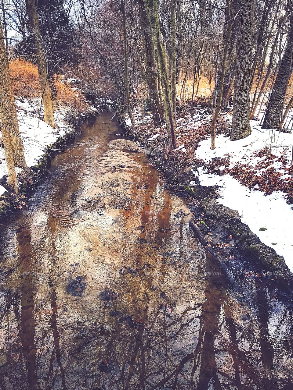 Snowy riverbank near my house...