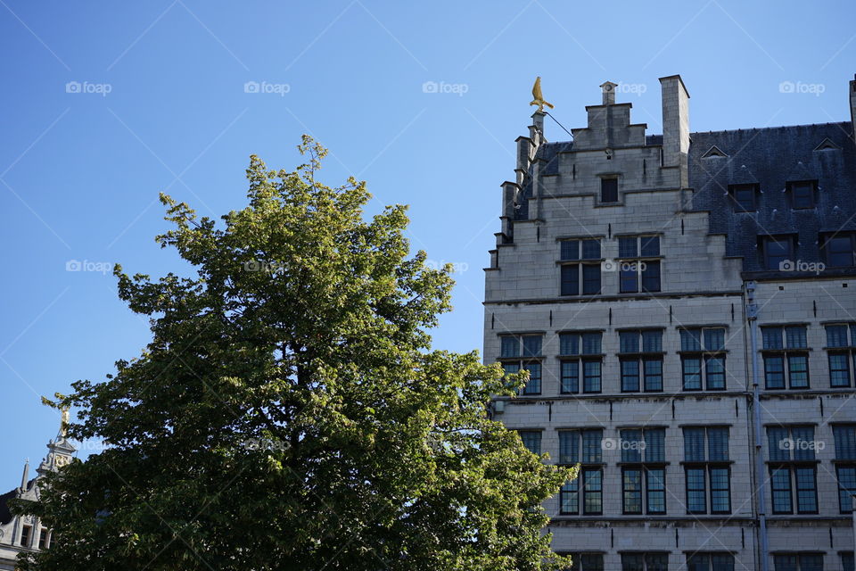 Square in Antwerp