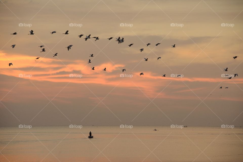 A beautiful sunset with birds flew.
