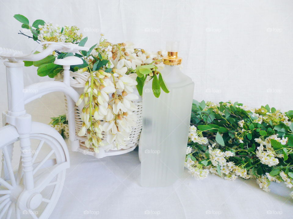 toilet water and white spring flowers on a white background