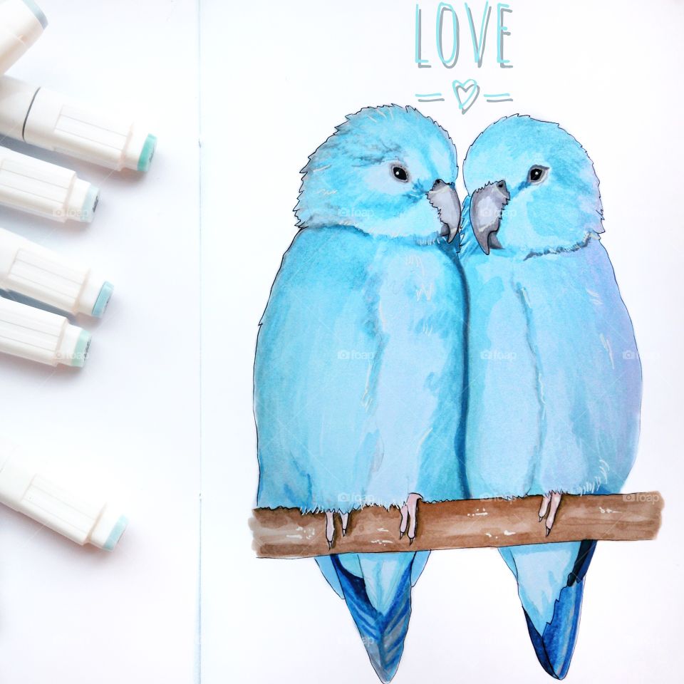 Marker drawing of a pair of blue parrots