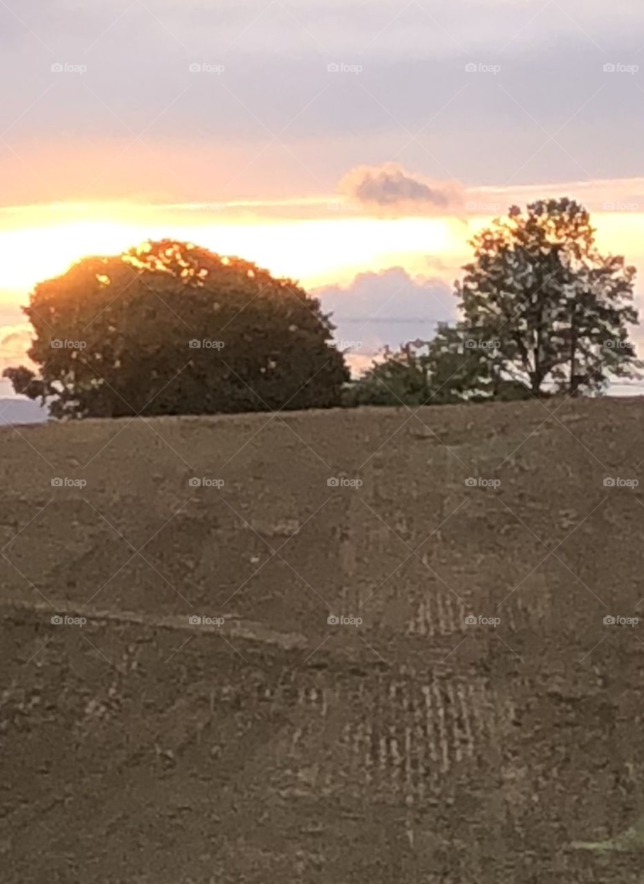 Sunset on farm landscape 