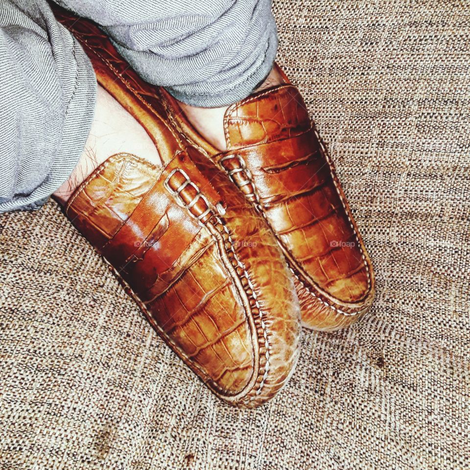 WHAT A BUNCH OF CROC!