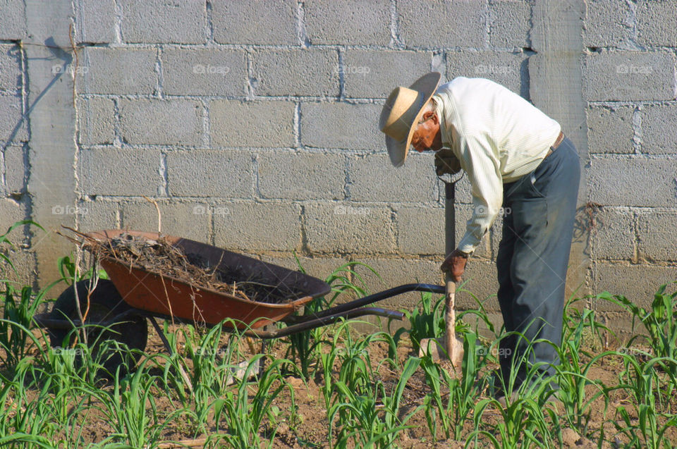 field ground terrain plant by hackobo