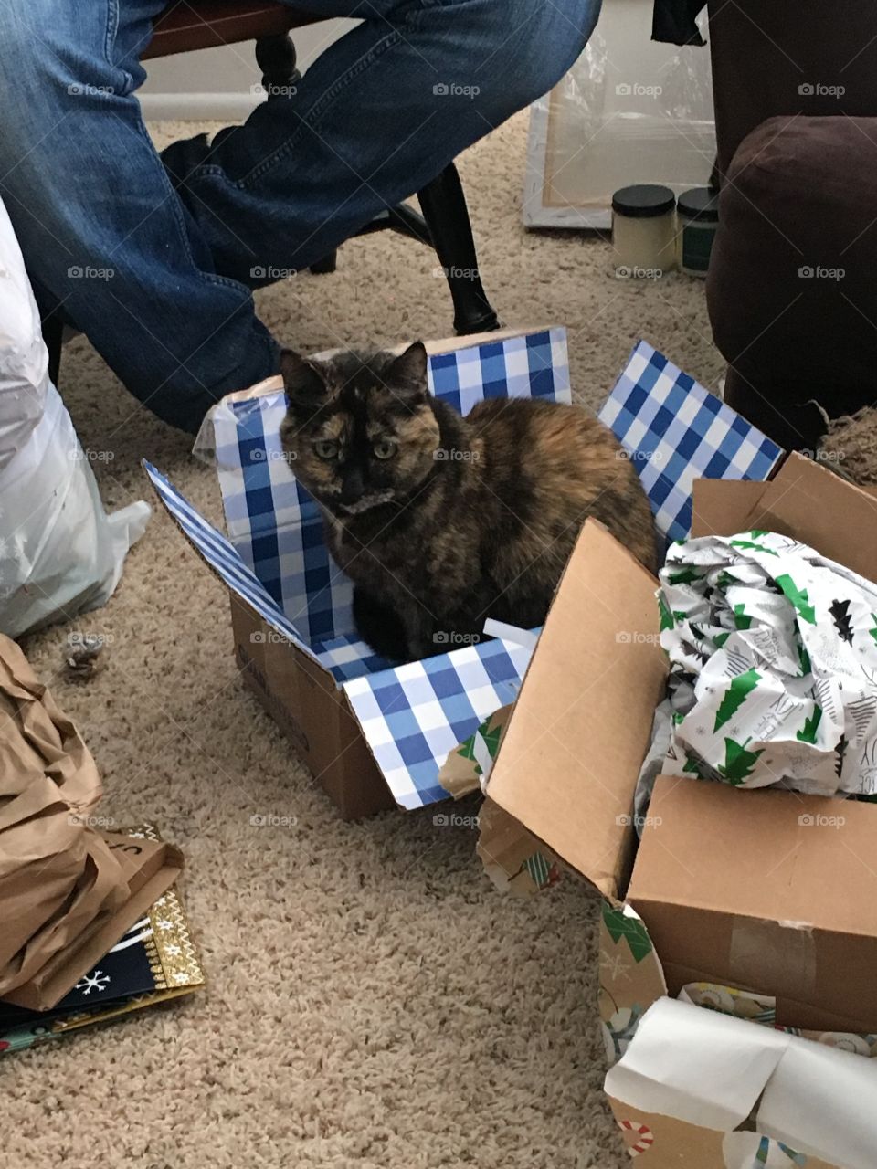 Boxes, The Best Gift