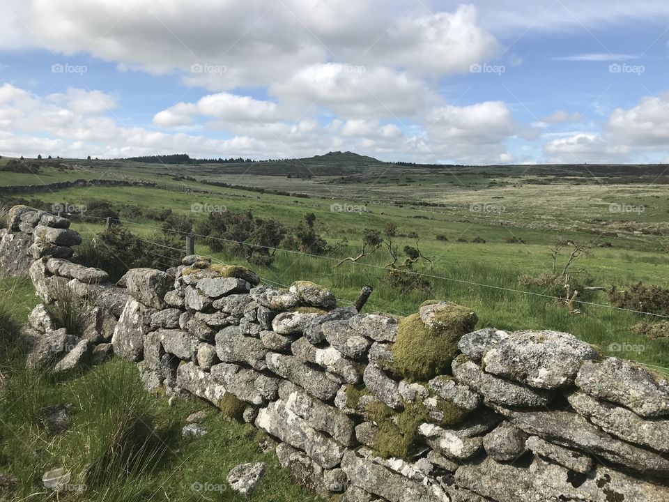 One of a series of superb picture settings of glorious   Dartmoor in June 2018, a great start to UK summertime.