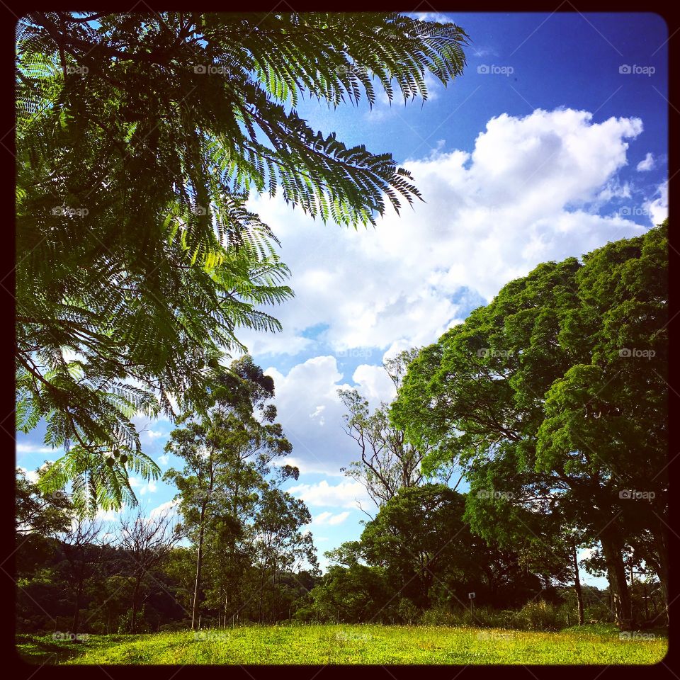 #PAZ
.
#Entardecer na fazenda #Ermida. 
.
Tranquilo ou não?