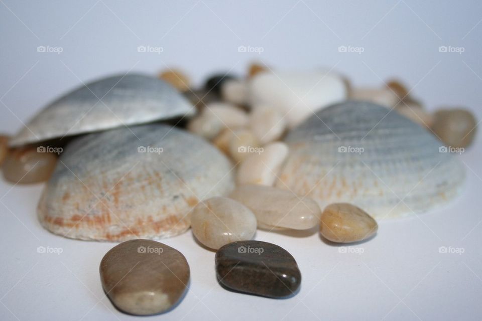 Stones and shells
