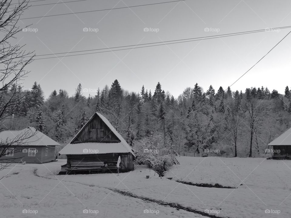 Snow, Winter, House, No Person, Wood