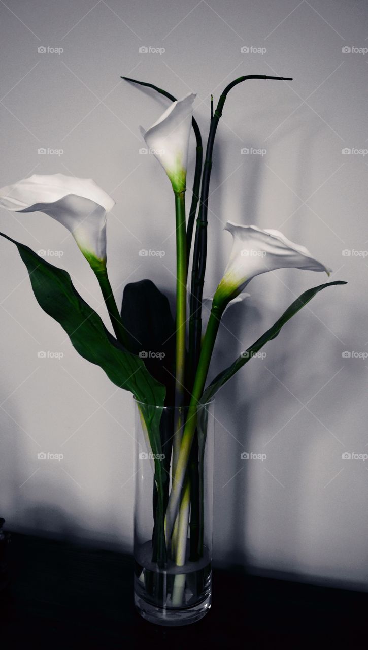 Lilly flowers vase abstract adults stems contemporary home decor