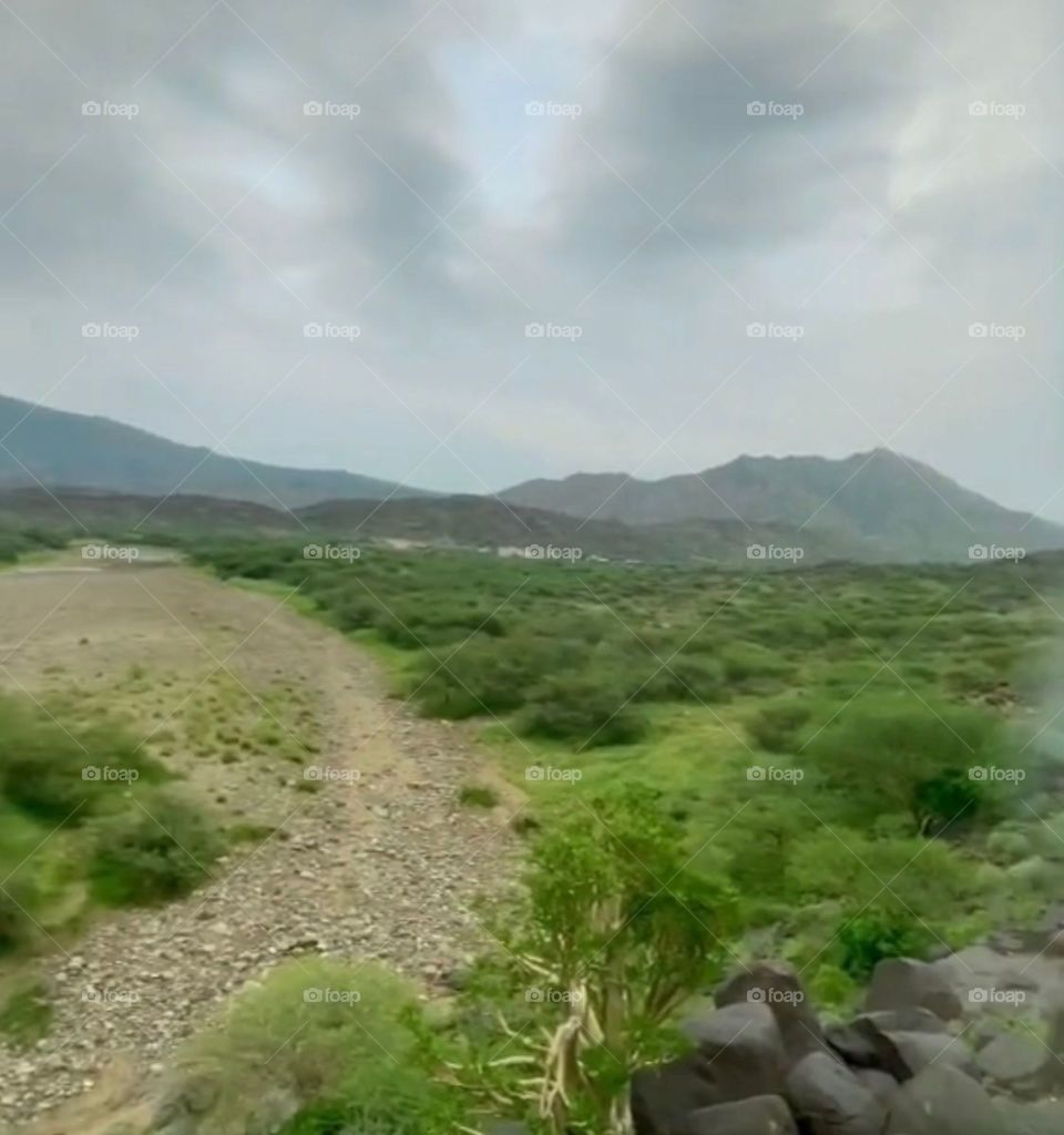 I need your support guys, I'm very, very poor, poor