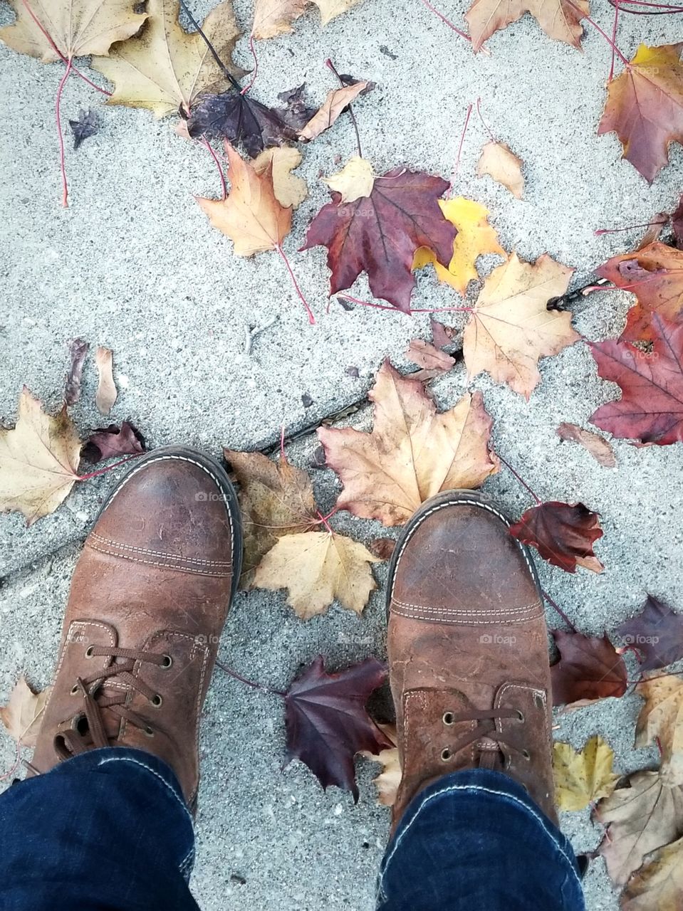 Autumnal Boot View
