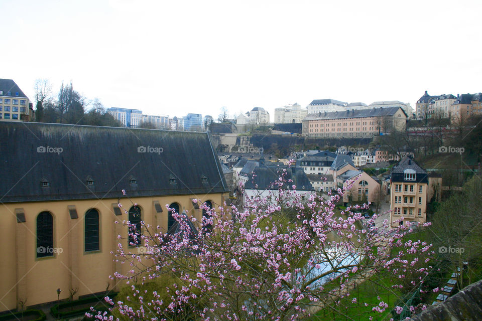 Architecture, City, No Person, Church, Building