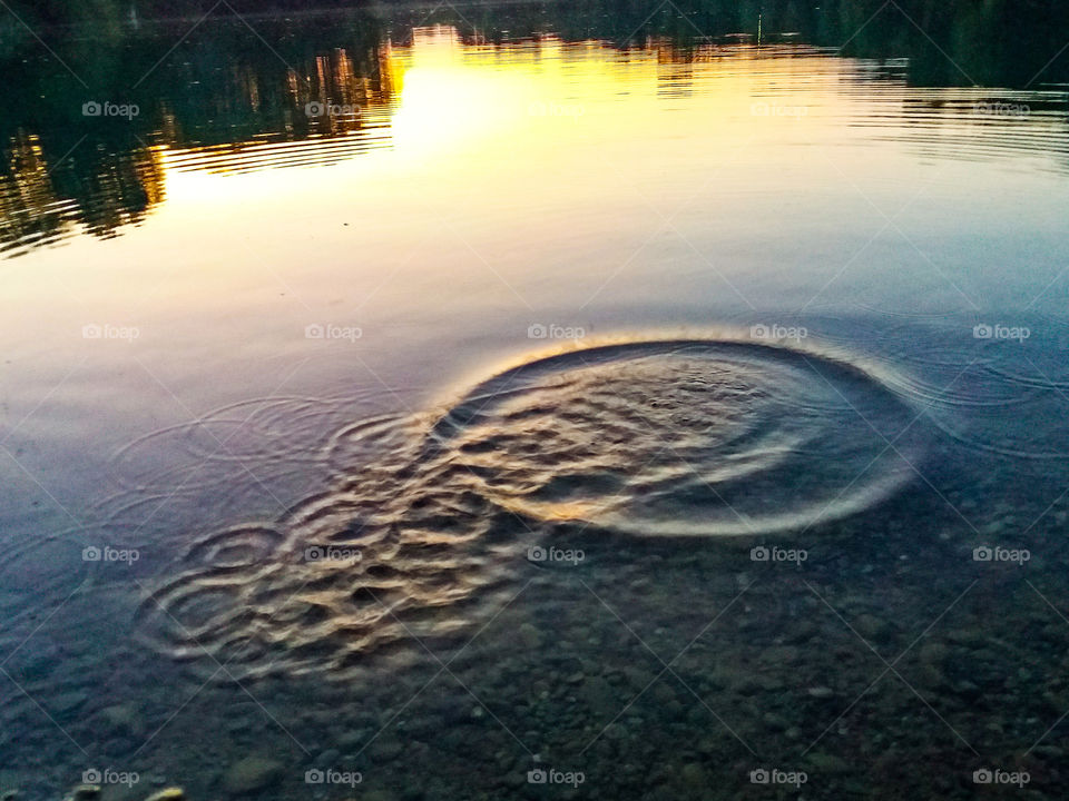 ripples on the lake evening light