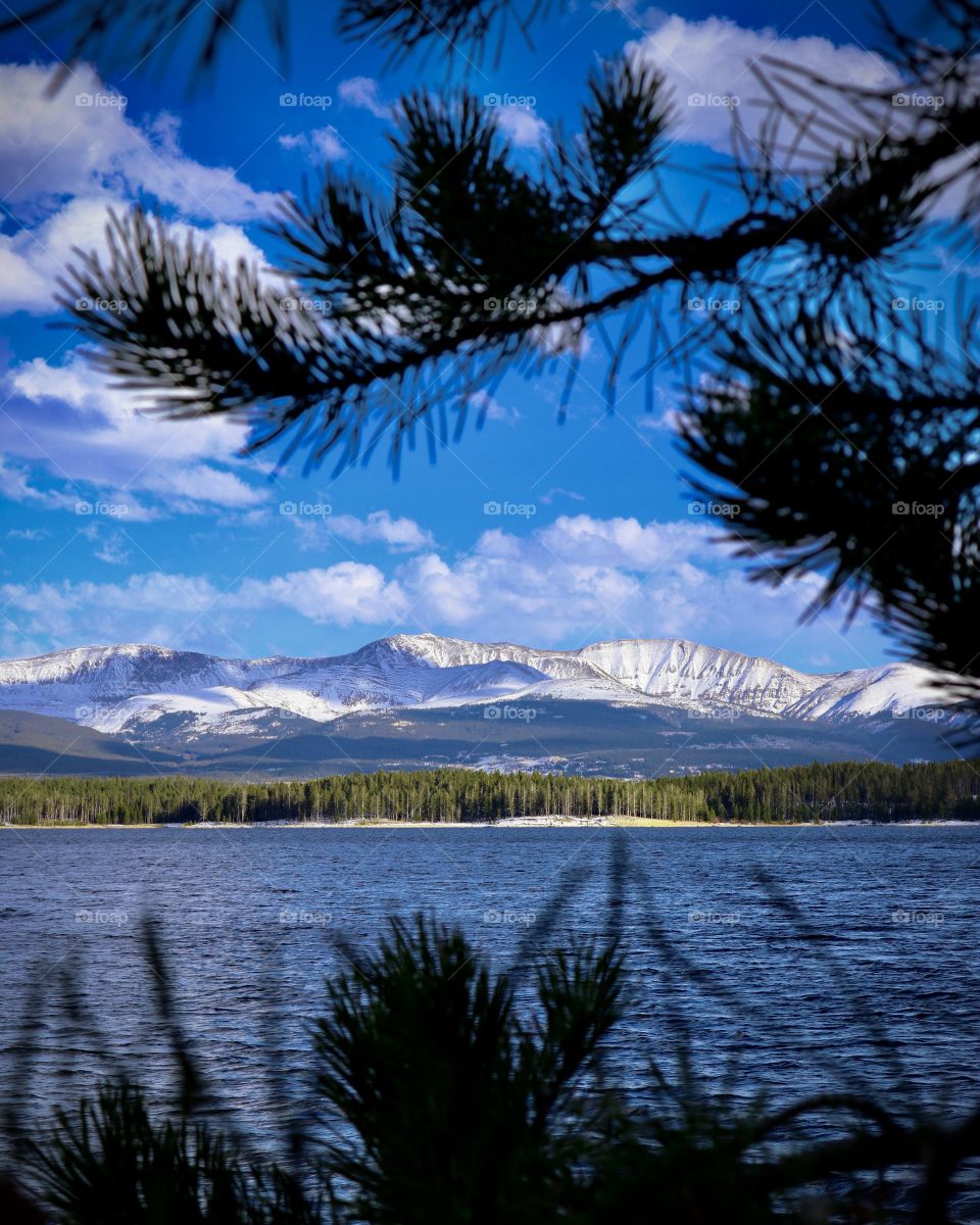 Peering through the trees over the water and the mountains in the distance.