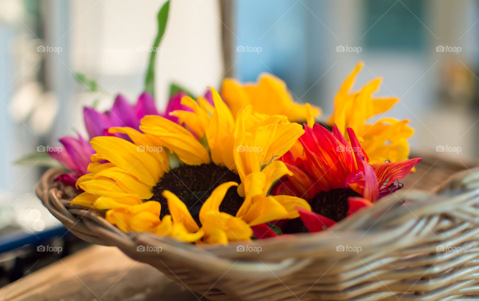 Basket of sunflowers in kitchen floral centerpiece bouquet with yellow sunflowers and red and pink colored dyed sunflowers conceptual health and wellness tranquility photography 