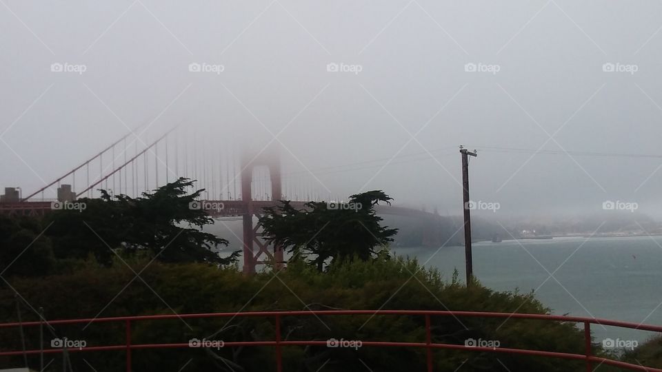 golden gate captured in fog