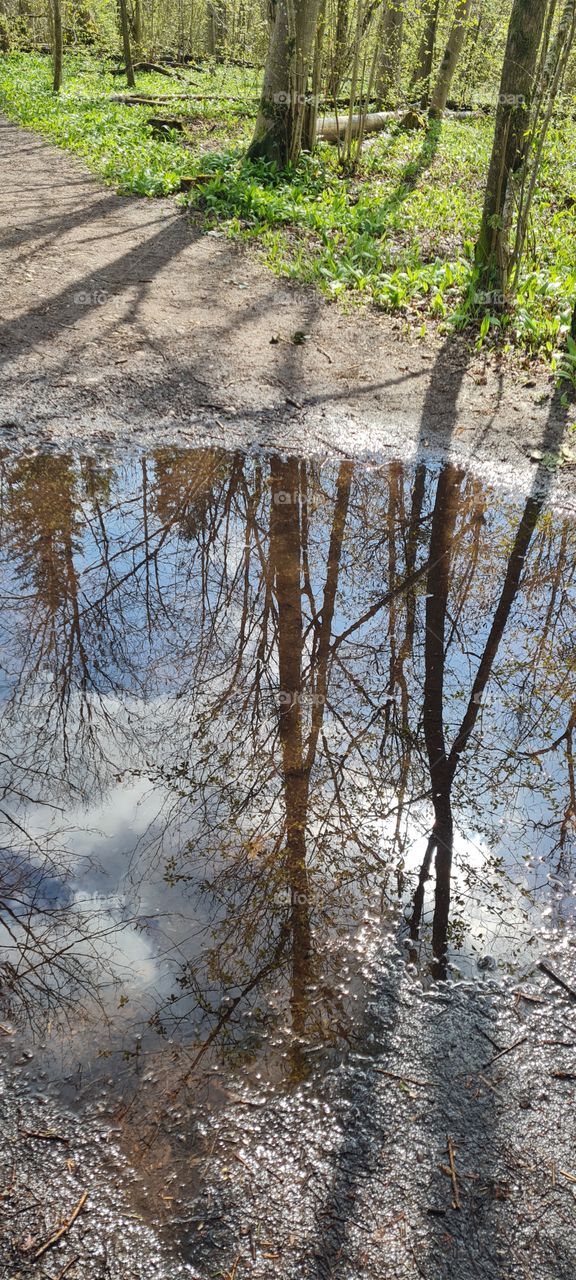 Puddles of water mirroring