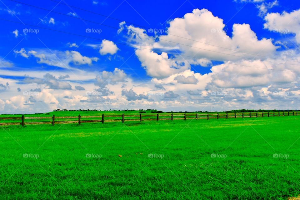Open field fence