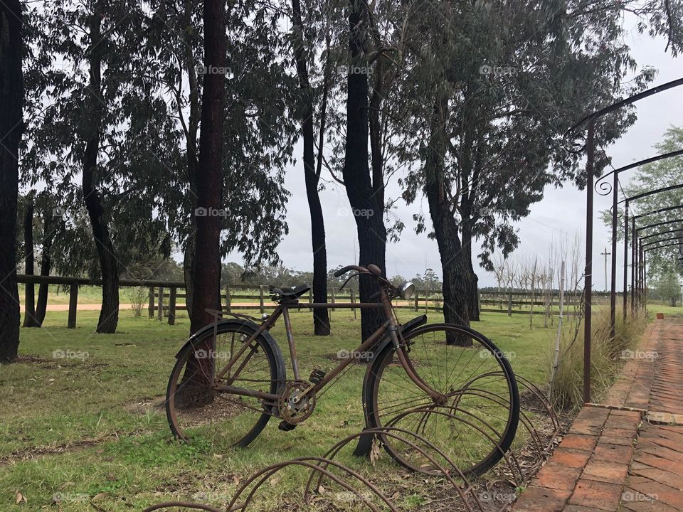 Bike and the trees at the countryside in a cloudy sky