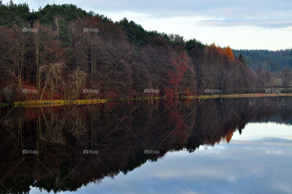 Water, Lake, River, Reflection, Landscape