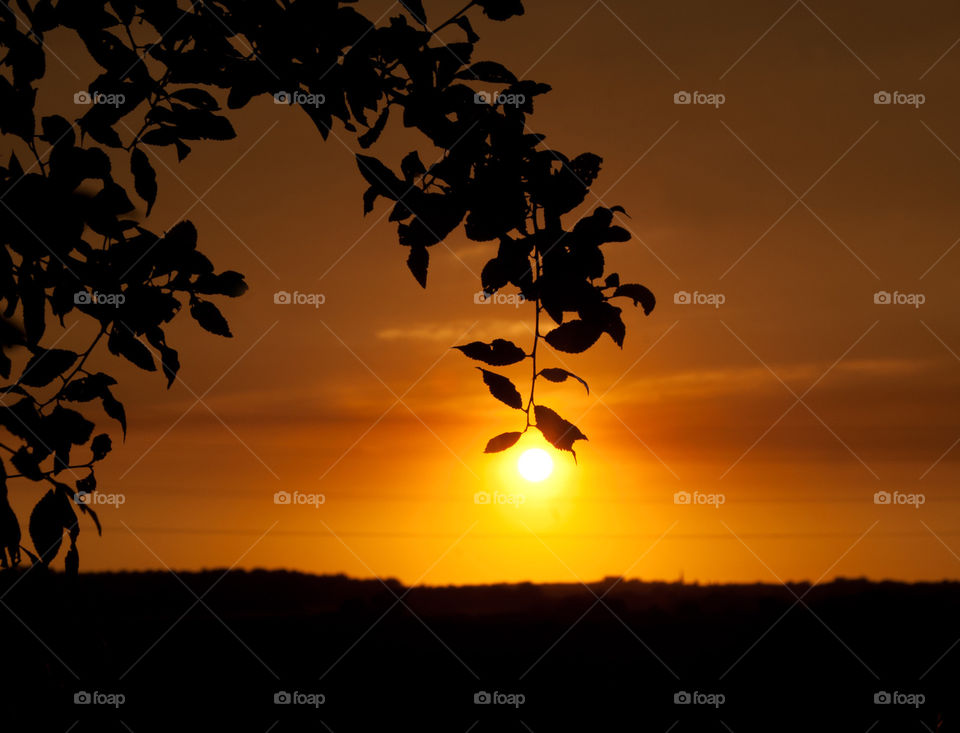 A Sunset photograph. 