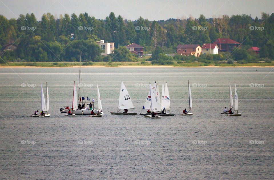 Sailboats on the lake on a summer day.